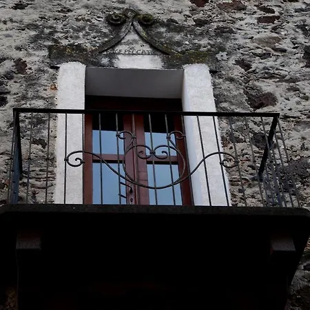 Apartment Hora Vona *